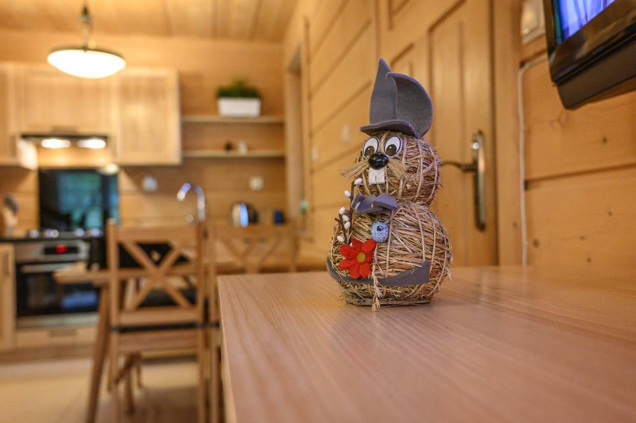 Regionalny Domek Pod Skocznia ザコパネ エクステリア 写真